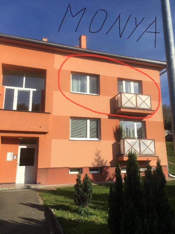 Apartman Monya Turcianske Teplice Exterior photo